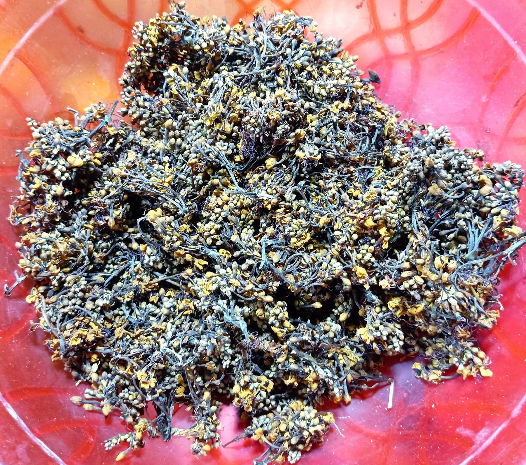 Pazarda satılan kurutulmuş ashoka çiçeği
